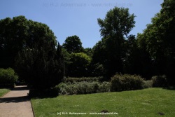 fotografie-40