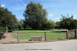 fotografie-30