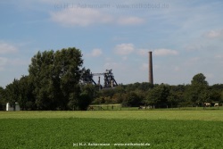 fotografie-46
