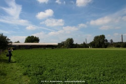 fotografie-47