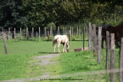 fotografie-94