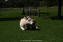 fotografie-107