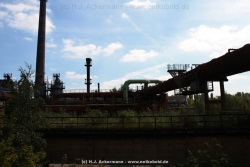 fotografie-40