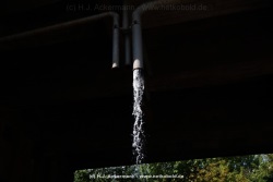 fotografie-42