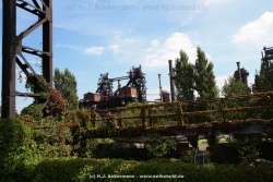 fotografie-16