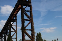 fotografie-176