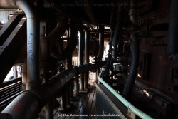 fotografie-124