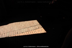 fotografie-13