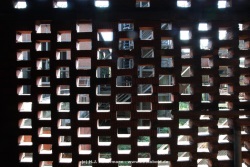 fotografie-178