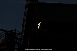 fotografie-137
