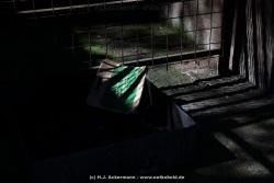 fotografie-195
