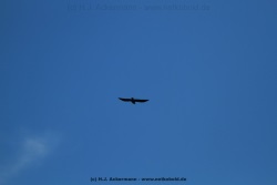 fotografie-4