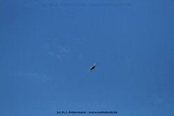 fotografie-11