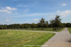 fotografie-6