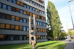 fotografie-17