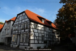 fotografie-4