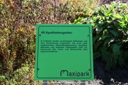 fotografie-10