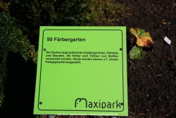 fotografie-25