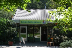 fotografie-71