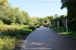 fotografie-80