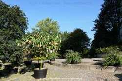 fotografie-132