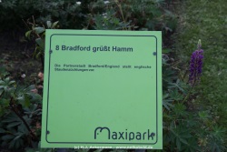 fotografie-134