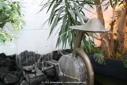 fotografie-40