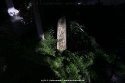 fotografie-43