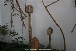fotografie-48
