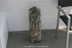 fotografie-56
