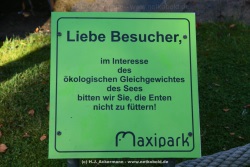 fotografie-10