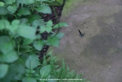 fotografie-6