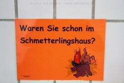 fotografie-70