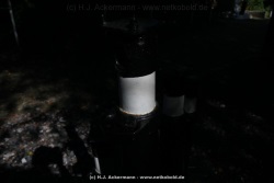fotografie-35