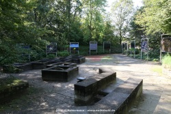 fotografie-36