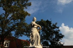 fotografie-6