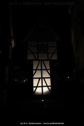 fotografie-3