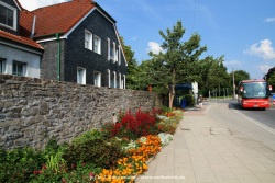 fotografie-5