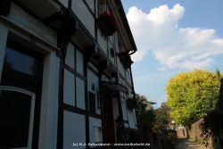 fotografie-112