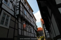 fotografie-3
