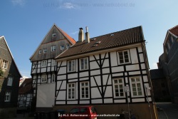 fotografie-35