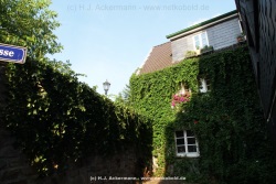 fotografie-55