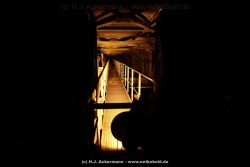fotografie-15
