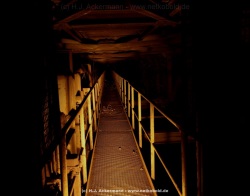 fotografie-16