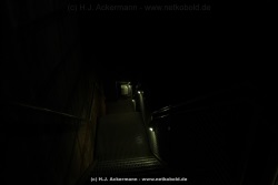 fotografie-23