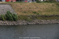 fotografie-58