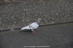 fotografie-153