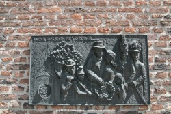 fotografie-20