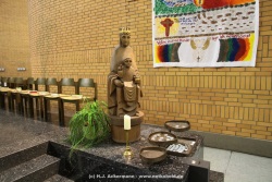fotografie-15