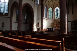 fotografie-8